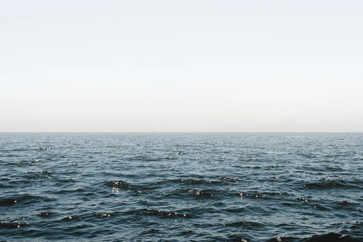8 Wallpapers That Will Look Perfect On Your Phone
