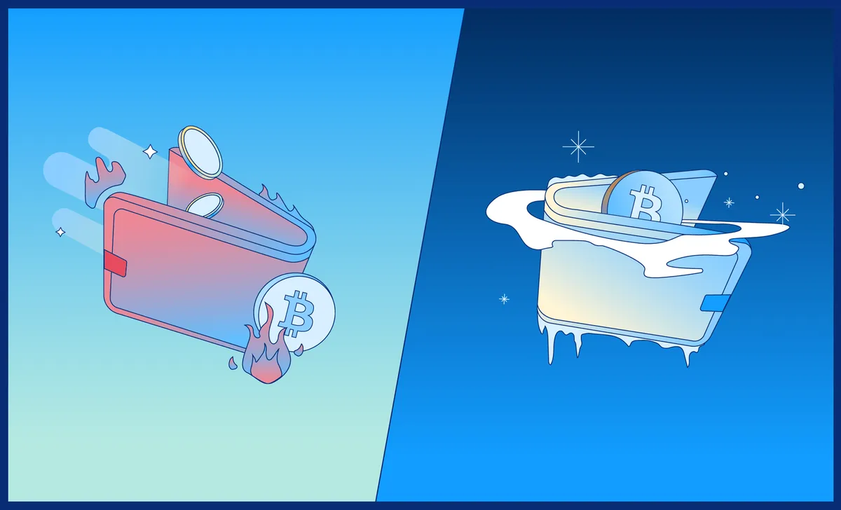Hot vs Cold Wallet: Which is the Best Option for Storing Cryptocurrency?
